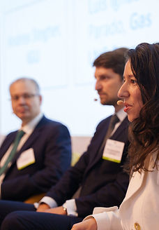 Conférences-Cedigaz24-079_edited.jpg