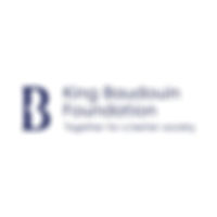 king_baudouin_foundation_logo