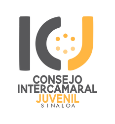 Logo CIJS Original 1x1 png.png