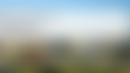 Property sales up 42% | Analysis reveals fixed-variable rate gap | Twelve Grains Capital