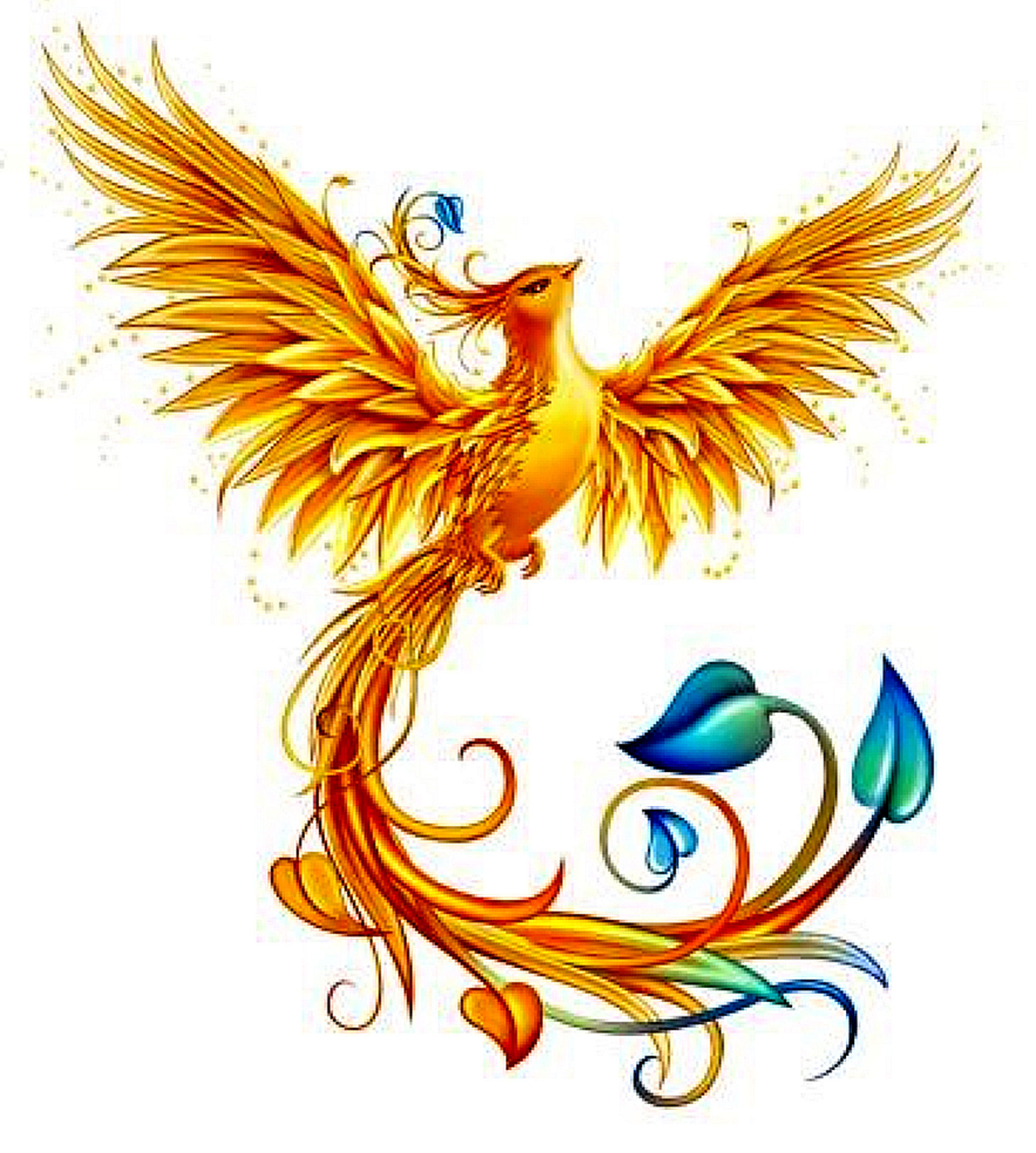 Ideia para ser tatuada na sua Pele colorida - Fênix