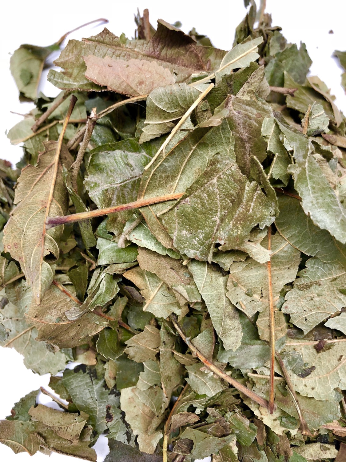 Apple Leaves (100g)