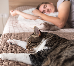 Cat sleeping on the bed with sleeping man at background_edited.png