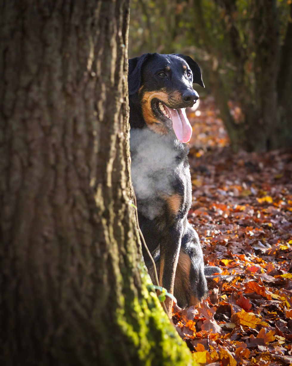 17-IMG_7006~2