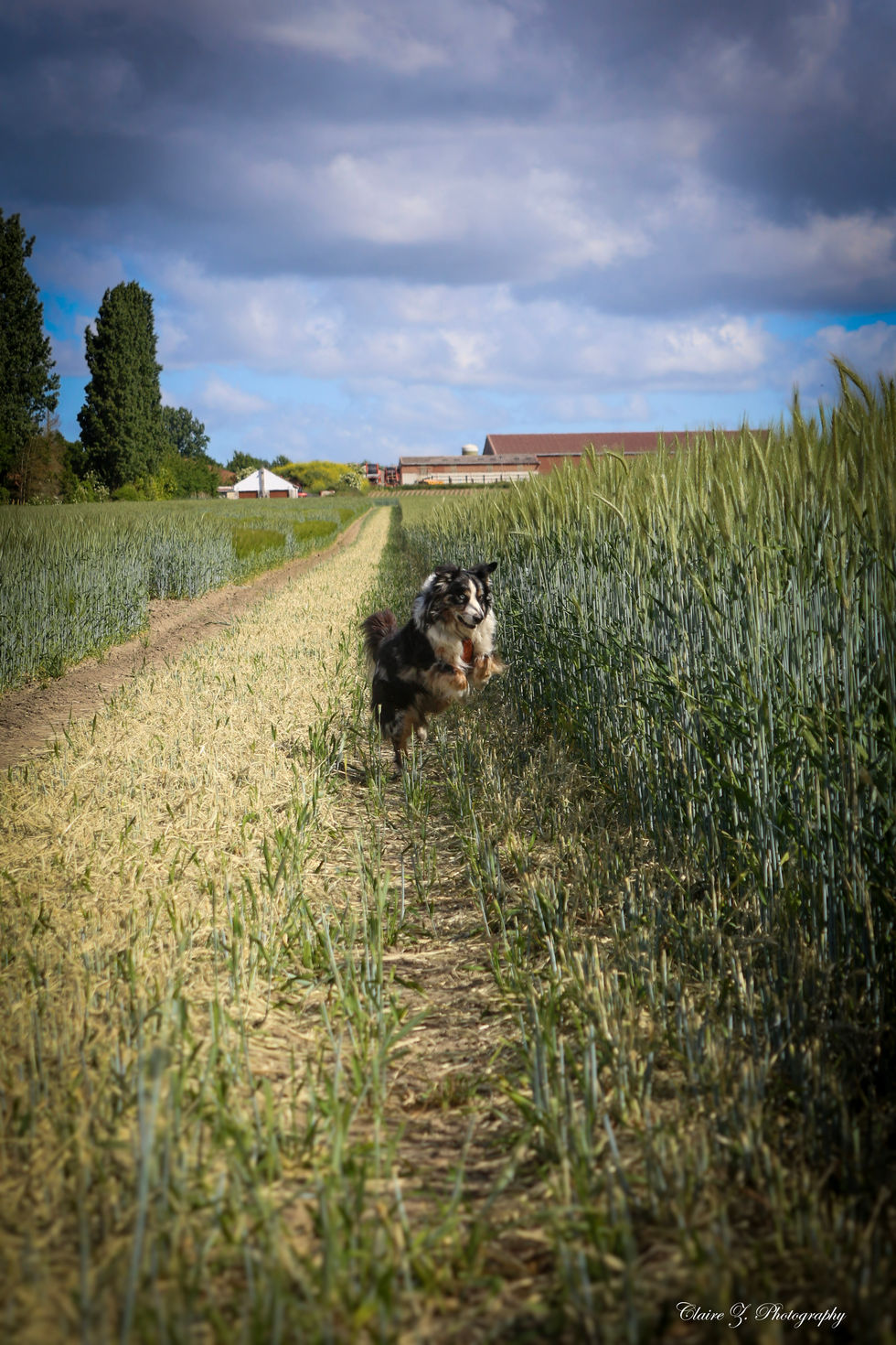 33-IMG_1197