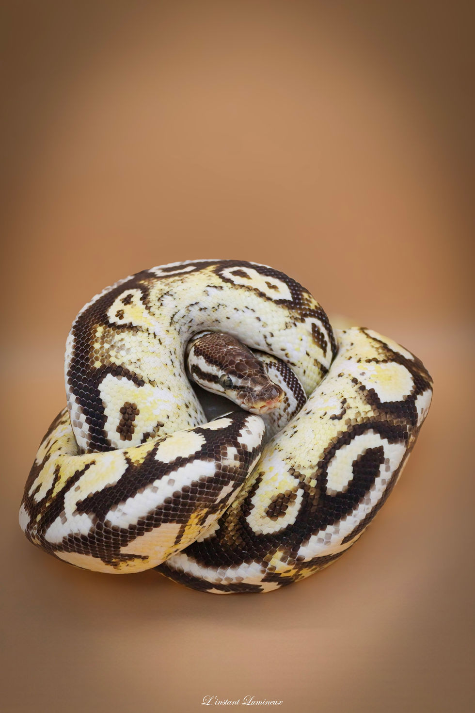 18-IMG_6484~2