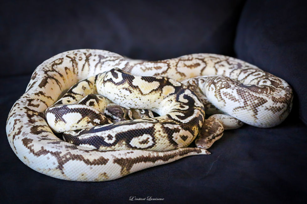 17-IMG_6478~2