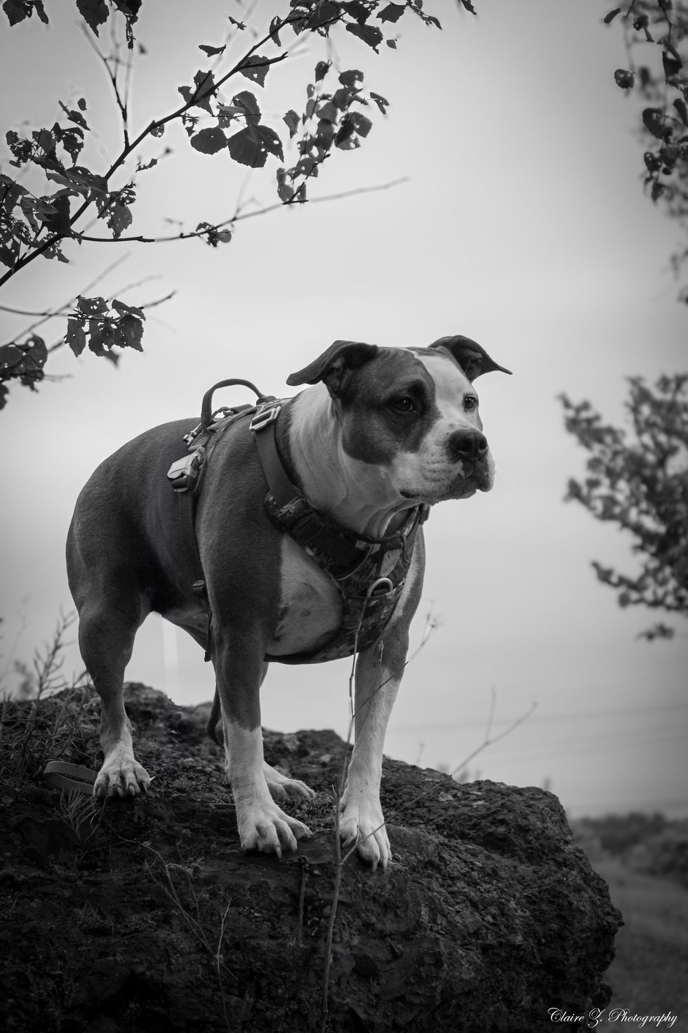 21-IMG_2598