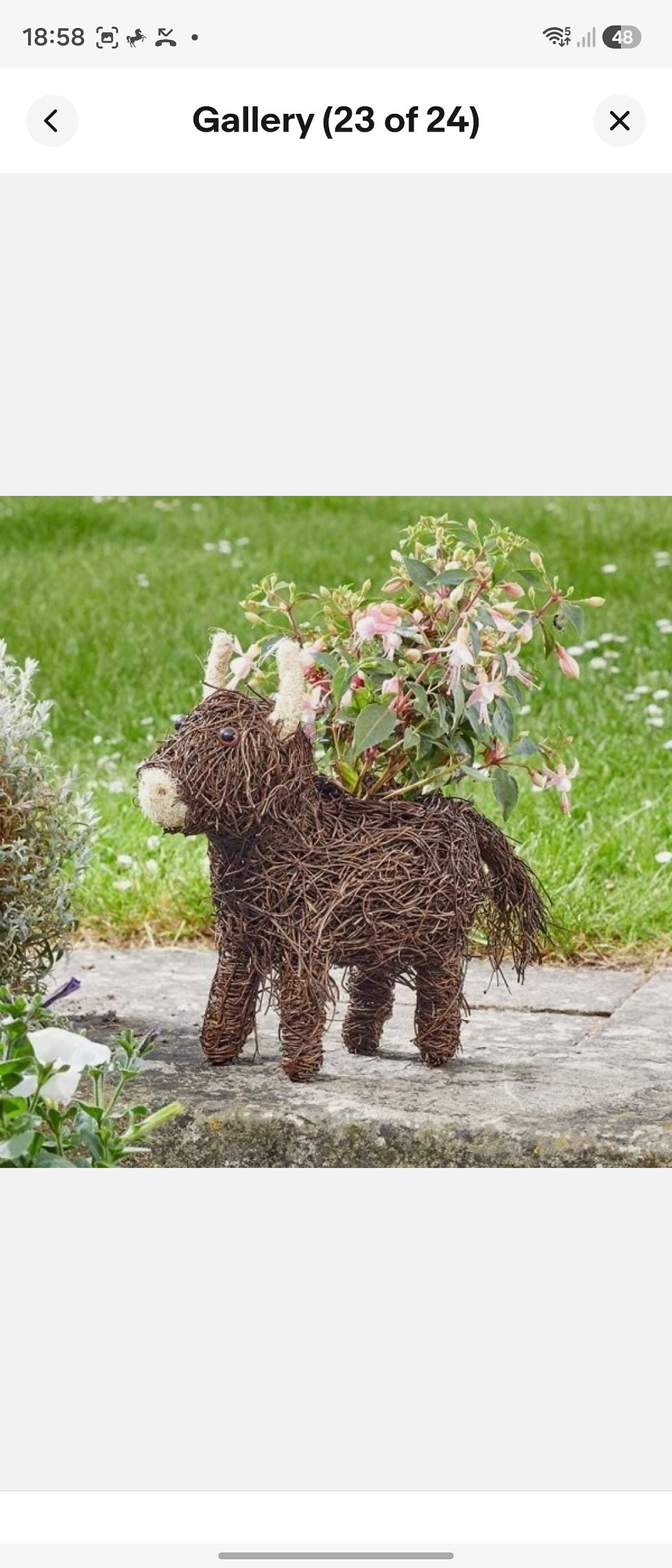 Thumbnail: Highland cow rattan style planter 