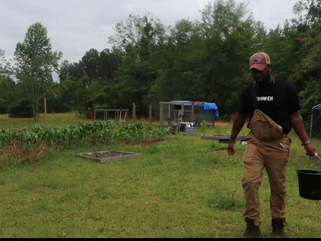 Start Prepping For Spring Now