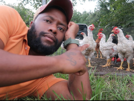 Start Growing Your Own Food