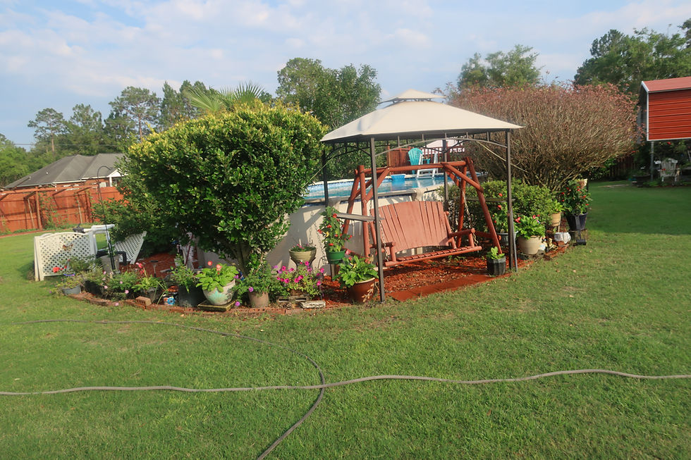 What the Government Shutdown 2025 Has Shown Us