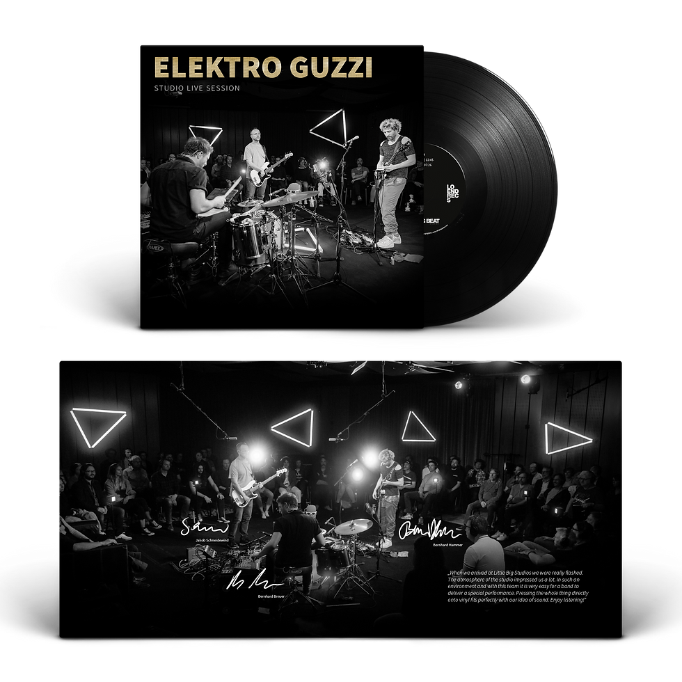 Thumbnail: Elektro Guzzi Studio Live Session Vinyl