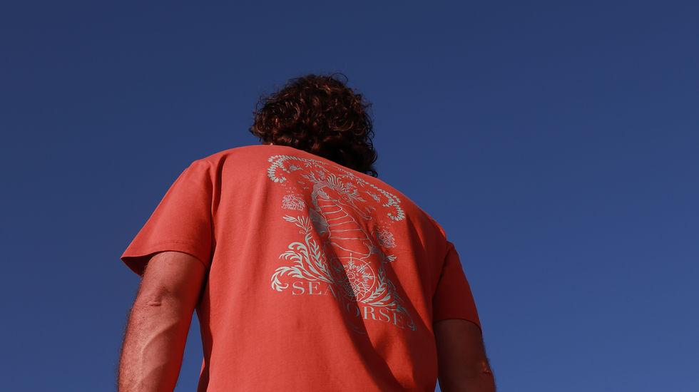 Miniature : Seahorse Homme - Corail