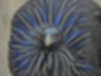 uchiyamaseiji_10.jpg