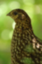 JPIO逕サ蜒十2_IMG_4090
