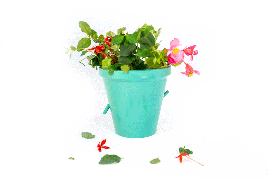 Plantypot.gif