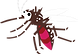 Mosquito.png