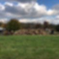 IMG_7599.jpeg