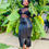 Thumbnail: Croc print pencil skirt w/split