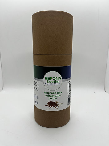 Macrocheles robustulus - 1L Röhre vollständig aus Karton
