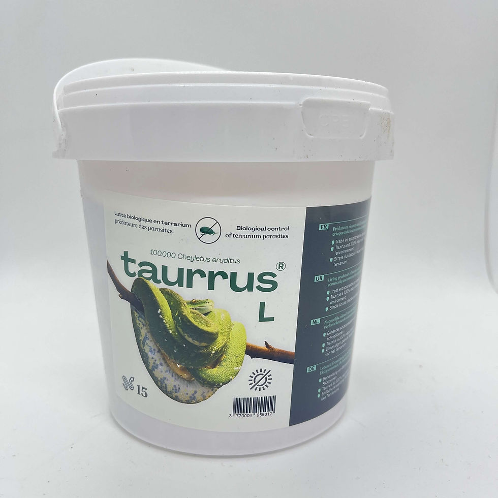 Miniaturbild: Taurrus Raubmilben 