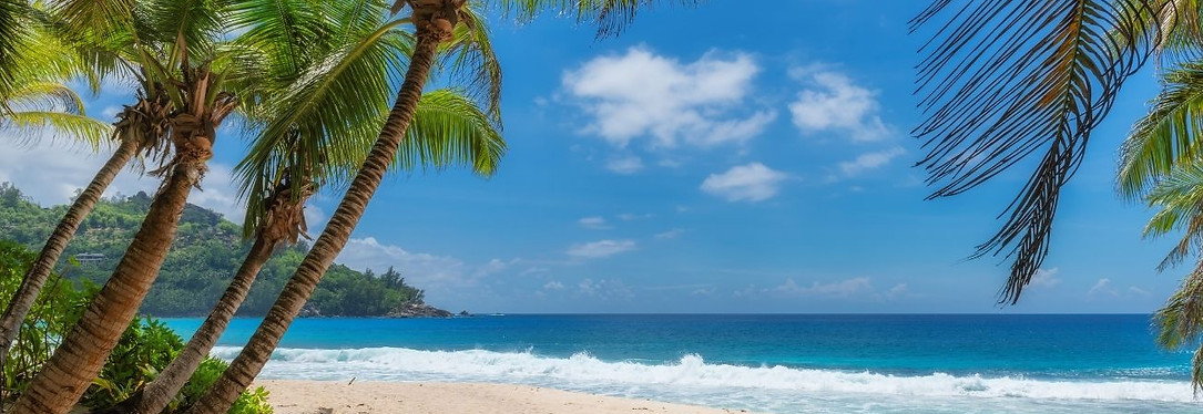 Untitled design (5).jpg