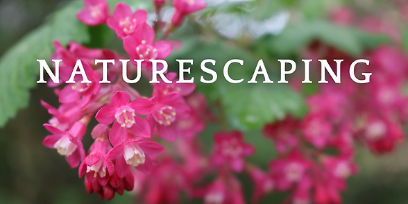 Class Pictures (12).png