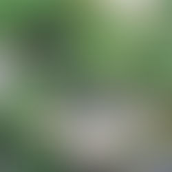 Naturescape