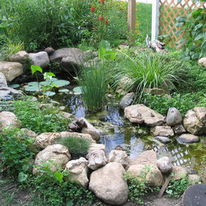 Naturescape
