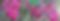 external-file_edited.jpg