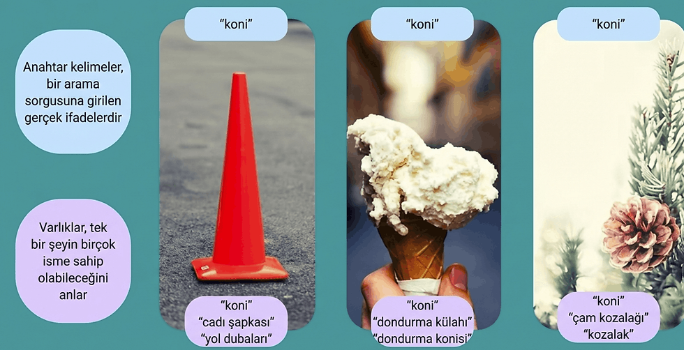 Geleneksel anahtar kelime araştırmasında koninin dondurma konisi trafik konisi veya çam kozalağına atıfta bulunabileceğini gösteren ancak anlamsal aramada bunların farklı adlarla da giden üç ayrı varlık olduğunu gösteren grafik