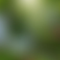 Düzce'de gezilecek yerler doğa ve kültür rotası üzerinde bulunan tarihi ahşap evler, şelaleler ve İbrahim'in Yeri'ne yakın doğal güzellikler.