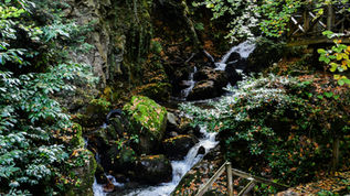 İstanbul'dan Bolu günübirlik gezi - Bolu Dağı mangal molası