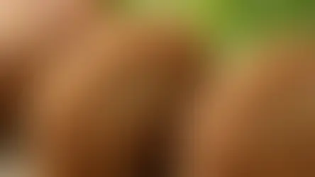 kadınbudu köfte nasıl yapılır