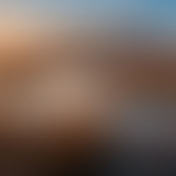 Efteni Gölü gezi rehberi — Düzce'nin kuş cenneti sulak alan ve sazlıklar