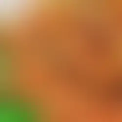 Mercimek Köftesi Tarifi: Pratik ve Lezzetli