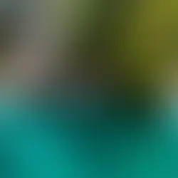 Göynük Kanyonu Gezi Rehberi: Bolu'nun Saklı Doğa Harikası