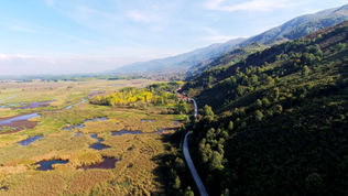 Efteni Gölü havadan görünüm, Düzce. Sonbahar renkleri, sulak alan, bataklık ve ormanlık yamaç. Düzce il merkezine 17 km mesafede doğal göl alanı.