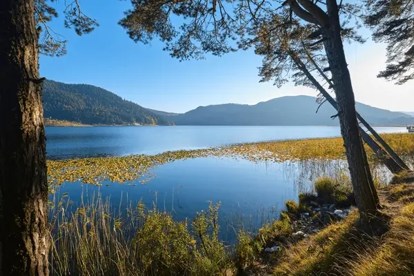 Abant Gölü panoramik manzara — çam ormanlarıyla çevrili göl ve yansıma, İbrahiminyeri