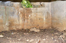20180926DSC_6073.jpg