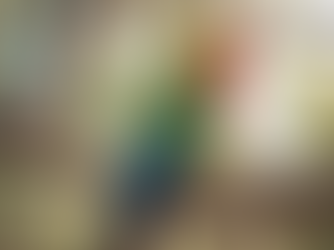 Birdata | Mornington VIC