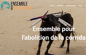 Ensemble pour l'abolition - image du site.png