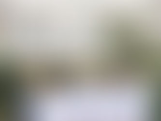 医局説明会を開催します。