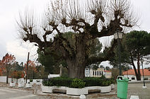 IMG_5972.JPG