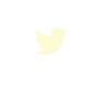 social icons-21.png