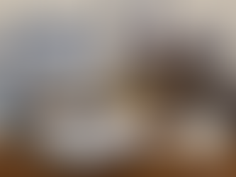 About H L STONE HOME & Heather Stone