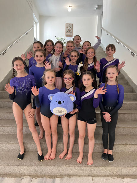 Přebor v gymnastice a šplhu 18.4.2026