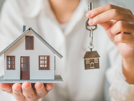 Pest Control In Rental Homes, who's Responsibility is it?