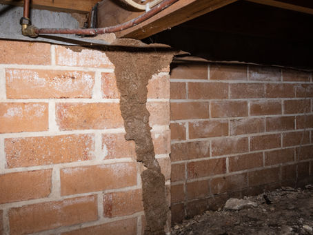How Regular Should You Be Getting A Termite Inspection?